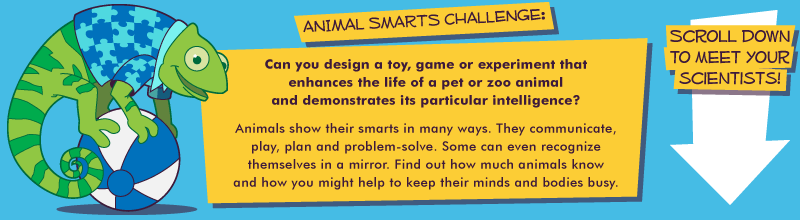 Animal Smarts Challenge!