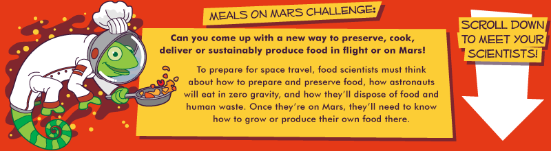 Animal Smarts Challenge!