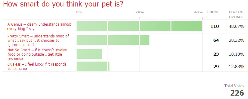 How smart do you think your pet is?