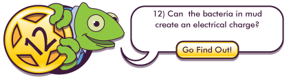 Kids' Science Challenge Scavenger Hunt